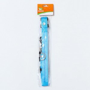 Ошейник с подсветкой, зарядка от USB, до 50 см, 3 режима свечения, голубой