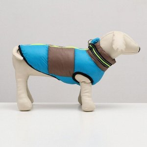 Куртка для собак на молнии, размер 8 (ДС 23 см, ОГ 30, ОШ 22 см), серо-голубая