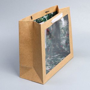 Пакет крафтовый с пластиковым окном Miracle, 31 х 26 х 11 см