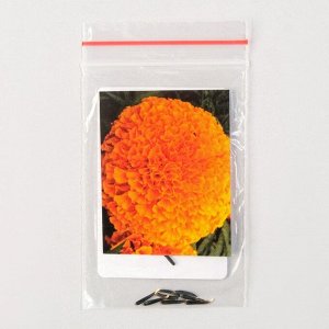 Семена цветов Бархатцы "Перфекшн", F1, Оранж, Global Seeds, 10 шт