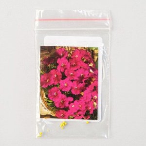 Семена цветов Петуния "Пикобелла", F1, Кармин, Global Seeds, 10 шт