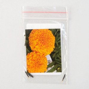 Семена цветов Бархатцы "Марвел", F1, Оранж, Pan American, 10 шт