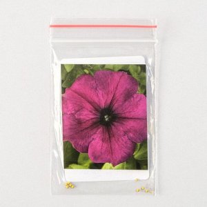 Семена цветов Петуния "Мираж", F1, Пёпл, Pan American, 10 шт