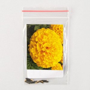 Семена цветов Бархатцы "Тайшан", F1, Голд, Pan American, 10 шт