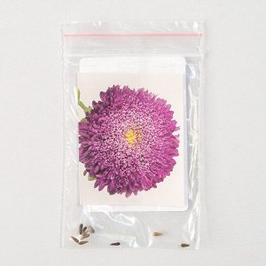 Семена цветов Астра "Бенари Принцесс", Блю, Benary, 10 шт