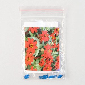 Семена цветов Цинния "Профьюжен Дабл", Ред, Sakata, 10 шт