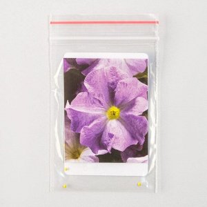 Семена цветов Петуния "Тритуния", F1, Блю, Global Seeds, 10 шт