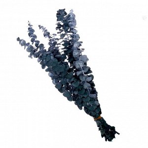 Сухоцвет «Эвкалиптовое дерево», голубой, 10 шт. в упаковке