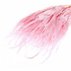 Сухоцвет «Ситник», розовый, 15 шт. в упаковке