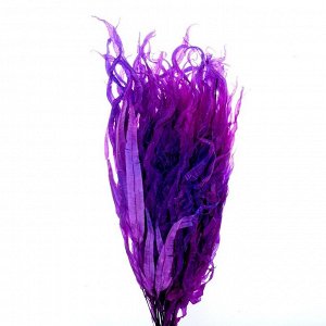 Сухоцвет «Ситник», фиолетовый, 15 шт. в упаковке