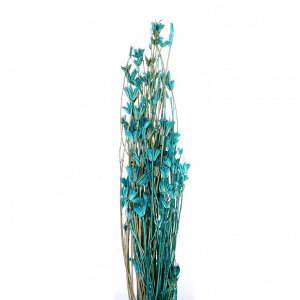 Сухоцвет «Бадьян», синий, 50 г в упаковке