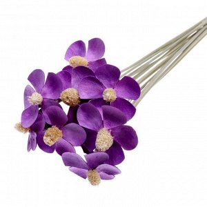 Сухоцвет «Фиалка», фиолетовый, 12 шт. в упаковке