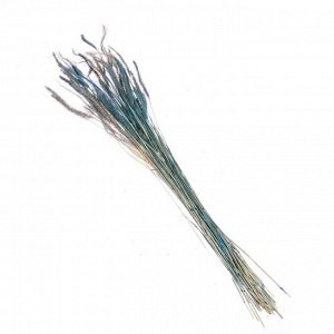 Сухоцвет «Щетинник», синий, 30 - 50 г в упаковке