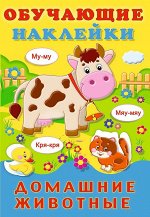 ДОМАШНИЕ ЖИВОТНЫЕ