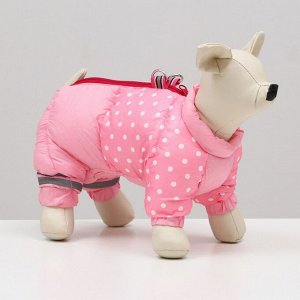 Комбинезон для собак "Горошек", размер 18 (ДС 40, ОГ 50, ОШ 38 см), розовый
