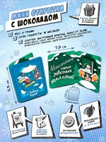 Мини открытка, ДЕД МОРОЗ В САНЯХ, молочный шоколад, 5 гр., TM Chokocat