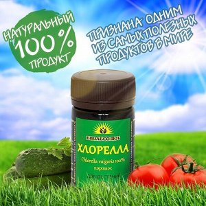 Хлорелла порошок "БИОАБСОЛЮТ" универсальное удобрение - стимулятор 50мл