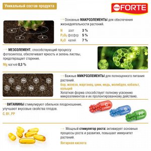 Удобрение Бона Форте для кактусов и суккулентов