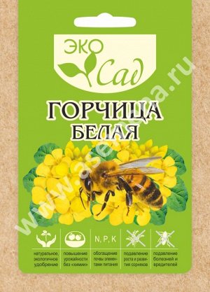 Горчица Белая/Сем Алт/цп 30 гр.