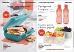 Ланч-бокс с разделителем