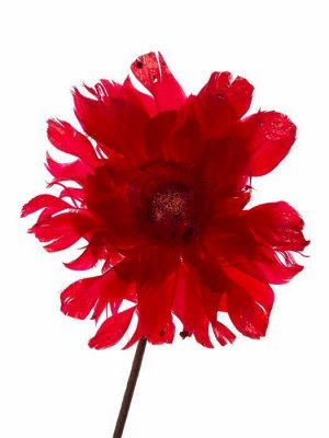 Новогоднее ёлочное украшение Красный цветок из гусиного пера, на клипсе из черного металла / 5,5x14x14см