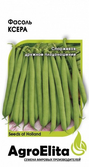 Фасоль Ксера 10 шт. (Семинис) А/э