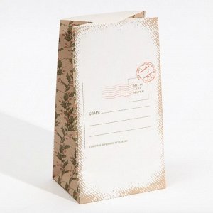 Пакет без ручек  «Почта», 10 ? 19.3 ? 7 см