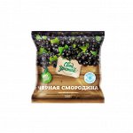 Смородина черная 300 гр &quot;Свой урожай&quot; (1/25)