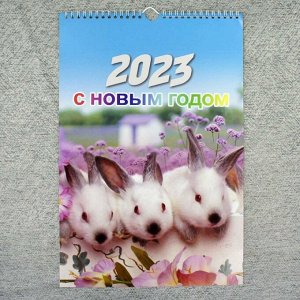 Календарь 2023г