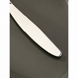Нож столовый «Дубрава», h=21,5 см
