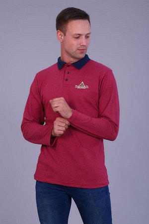 Футболка поло 6796