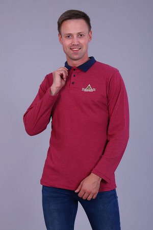 Футболка поло 6796