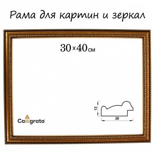 Рама для картин (зеркал) 30x40x2.8 см, пластиковая, Calligrata 6448, золотой