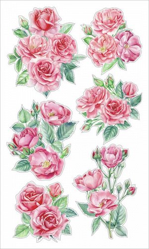 Декоративные виниловые наклейки ST-0593 Кустовые розовые розы 30х50
