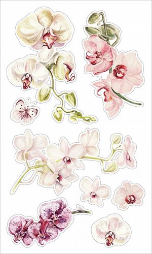 Декоративные виниловые наклейки ST-0592 Нежные орхидеи 30х50