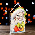 Подарочная коробка-пакет &quot;Котенок в сапоге&quot; 14 х 5,5 х 19 см