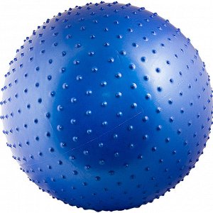Мяч массажный Torres  65см