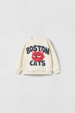 Boston cats свитшот