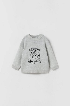 Knit sweater with dog