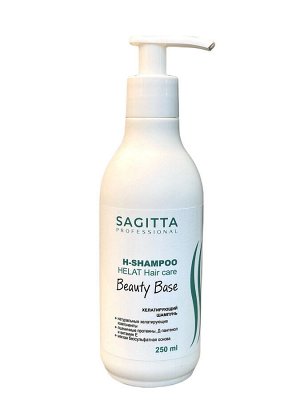 Шампунь для волос глубокой очистки хелатирующий Beauty Base H-Shampoo Helat Hair care 250 мл Sagitta