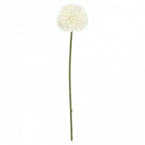Цветок "Астра" цвет - белый, 28см, цветок - д6х4см (Китай)
