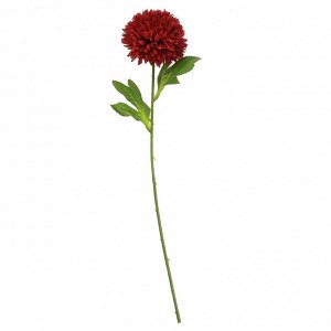 Цветок "Астра" цвет - бордовый, 52см, 1 цветок - д10х5см (Китай)