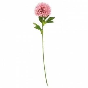 Цветок "Астра" цвет - пудровый, 52см, 1 цветок - д10х5см (Китай)