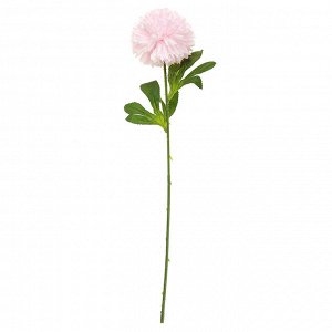Цветок "Астра" цвет - розовый, 52см, 1 цветок - д10х5см (Китай)