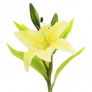 Цветок "Лилия" цвет - желтый, 35см, 1 цветок - д14х6см, 3 бутона (Китай)