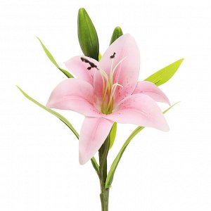 Цветок "Лилия" цвет - персиковый, 35см, 1 цветок - д14х6см, 3 бутона (Китай)