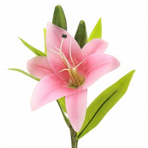 Цветок "Лилия" цвет - розовый, 35см, 1 цветок - д14х6см, 3 бутона (Китай)