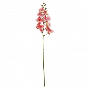 Цветок "Орхидея" тигровая, цвет - фуксия, 90см, 8 цветков, 5 бутонов (Китай)