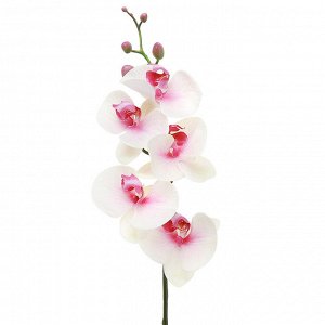 Цветок "Орхидея" цвет - бело-розовый, 86см, 5 цветков, 5 бутонов (Китай)