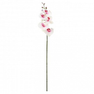 Цветок "Орхидея" цвет - бело-розовый, 86см, 5 цветков, 5 бутонов (Китай)